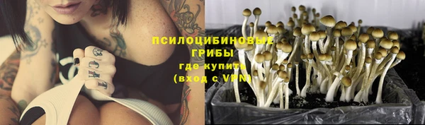 хмурый Алзамай