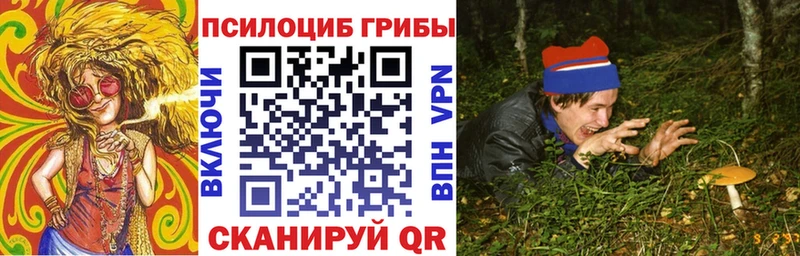 цена наркотик  Мегион  Галлюциногенные грибы прущие грибы 